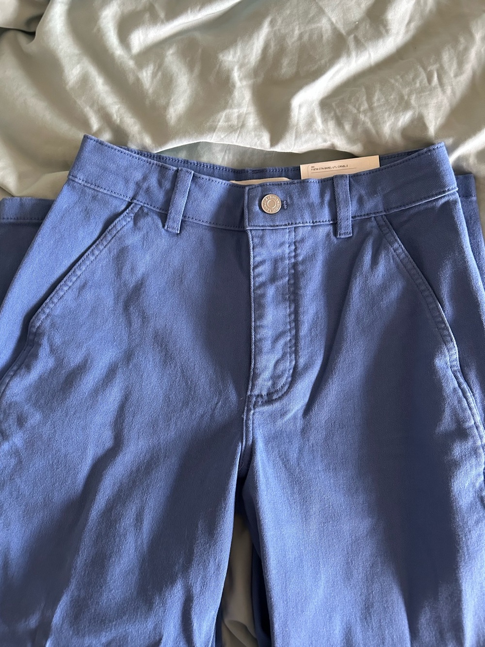 Everlane Utility Barrel Pant NWT | cornflower blue - Picture 4 of 7